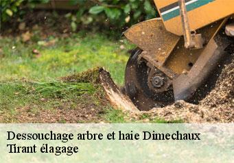 Dessouchage arbre et haie  dimechaux-59740 Tirant élagage