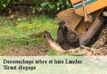 Dessouchage arbre et haie  landas-59310 Tirant élagage