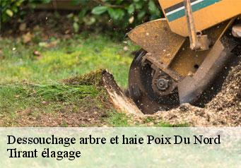 Dessouchage arbre et haie  poix-du-nord-59218 Tirant élagage