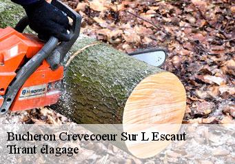 Bucheron  crevecoeur-sur-l-escaut-59258 Tirant élagage