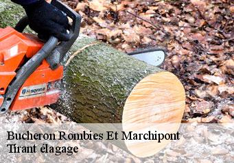 Bucheron  rombies-et-marchipont-59990 Tirant élagage