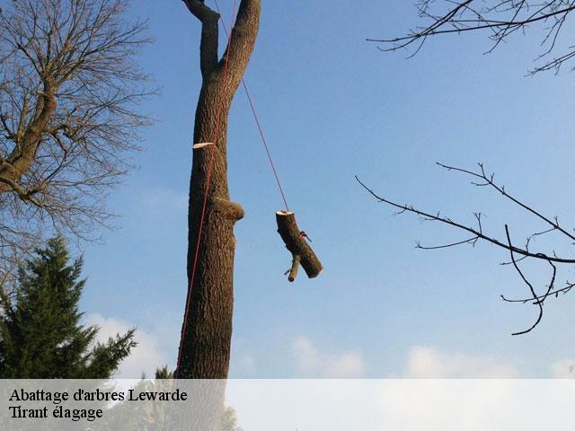 Abattage d'arbres  lewarde-59287 Tirant élagage