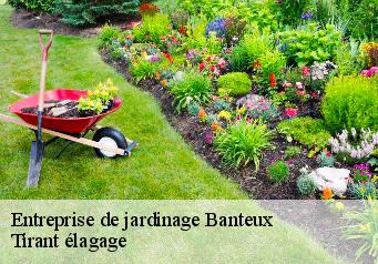 Entreprise de jardinage  banteux-59266 Tirant élagage