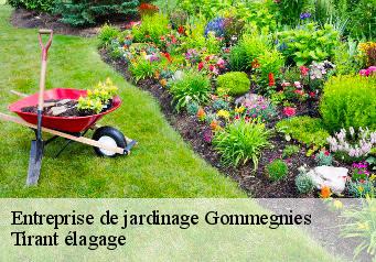 Entreprise de jardinage  gommegnies-59144 Tirant élagage