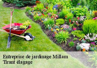 Entreprise de jardinage  millam-59143 Tirant élagage