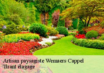 Artisan paysagiste  wemaers-cappel-59670 Tirant élagage