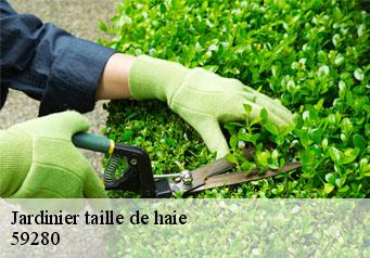 Jardinier taille de haie  59280