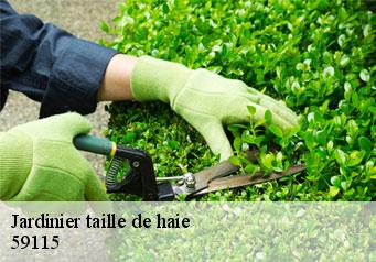 Jardinier taille de haie  59115