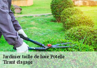 Jardinier taille de haie  potelle-59530 Tirant élagage